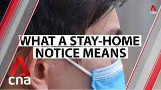 COVID-19: What does a stay-home notice mean? What happens if you flout the rules?
