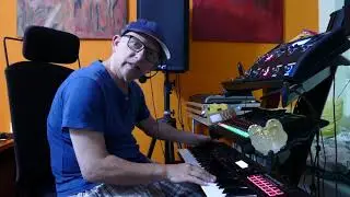 THE SANDPUPPY ORGAN SOUND: MADE FOR YOU (TO PLAY LIVE ON YOUR KORG KROSS 2))