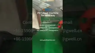 100% recycled material PET sheet extrusion machine for seed tray