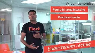 Microbe Moments: Eubacterium rectale | Sun Genomics
