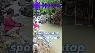 spot mantap ikannya banyak   #mancing #fishing #mancingmantap