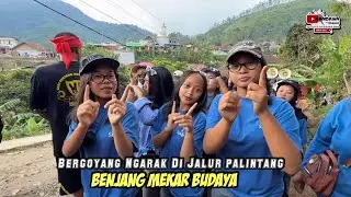 Palintang Bergoyang Saat Arak-arakan - Benjang Mekar Budaya