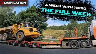 Week with Timbo | Compilation | Full Week |