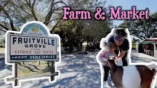 Fruitville Farm & Market 🐐//The Yoder Homestead
