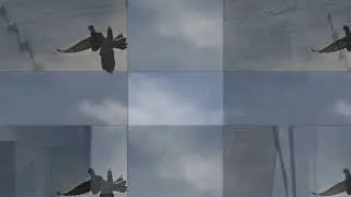 hnos oscar e  ito buchon jiennense de vuelo