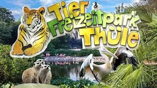 Tier- und Freizeitpark Th&uuml;le 2020