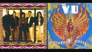 The VU - If I had you back