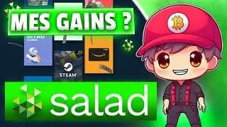 COMBIEN J&rsquo;AI GAGN&Eacute; AVEC SALAD ? (MES GAINS EN 1 AN)