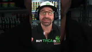 The Difference Between THCA vs Delta-8