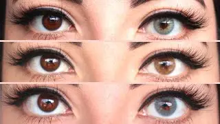 Colored Lenses for Dark Eyes | Solotica |  Ipanema, Avela, Grafite on Dark Eyes
