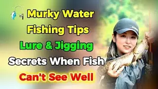 🎣 Murky Water Fishing Tips &ndash; Lure & Jigging Secrets When Fish Can&rsquo;t See Well