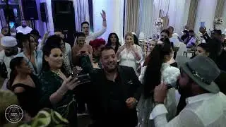 TOBELE ROMÂNIEI ✅SISTEMUL SHAGGY✅