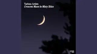 Tender Sky (Rain Version)