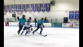 Hockey Forecheck - Why you should go as HARD and FAST as possible every time - 2 examples