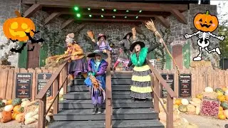 Witches Dance   The Most Enchanting Halloween Performance in Denmark