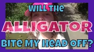 Will the Alligator Bite Amelia's Head off?