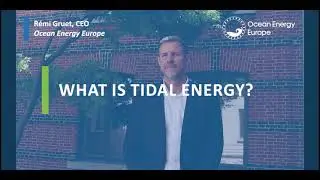Tidal energy interview with R&eacute;mi Gruet, CEO of Ocean Energy Europe