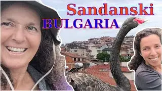 Exploring Sandanski, Bulgaria: Parks, Ancient Sites, Vegan Treats & More! | Vegan Travel Vlog 🌿🍷