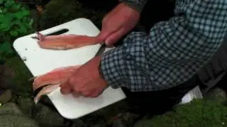 SASHIMI KNIVES,  part1