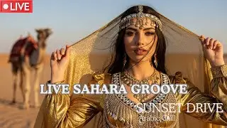 HABIBI Arabic EDM 24/7 🔴 LIVE | Nonstop Chill & Drive Vibes