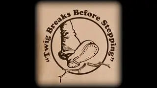 A Studio Performance by &ldquo;Twig Breaks Before Stepping&rdquo; #3