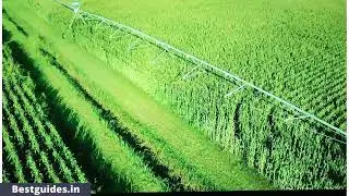 Benq Ew2480 Display Quality Testing (Tested Difference Modes)