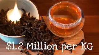The most expensive tea in the world today !🌎