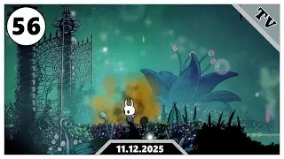 Ich betrete die Gärten der Königin 🪡 Hollow Knight [056]