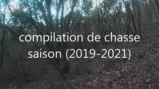 compilation chasse au sanglier saison 2019-2021