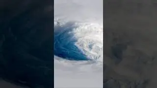 The Coriolis Effect #shorts #science #physics
