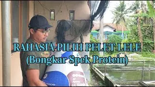 Review Pakan Lele Protein 30%: Spek Bagus Gak Harus Merk Mahal, Yang Penting Sesuai!