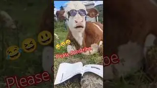New #nepal 🤟😆🤣🤣 Ramilo mathria ho hai #funny