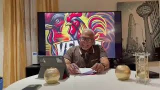 Gallero del año 