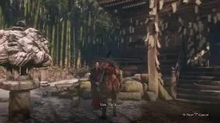 Sekiro: Shadows Die Twice / Discussing Dragonrot with Emma the Physician (Dialogue)
