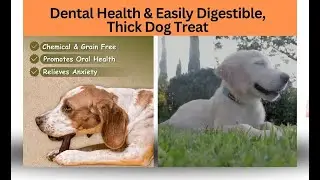Top Dog Chews, Free Bully Sticks, 100% Natural Dental Health & Easily Digestible