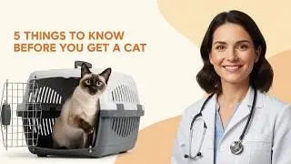 First Time Cat Owner 5 Things You MUST Know Before Bringing Your Cat Home