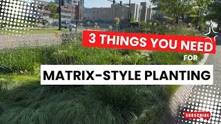 3 things you need for Matrix-style planting 3️⃣#beginnergardening #gardendesign #gardeningtips