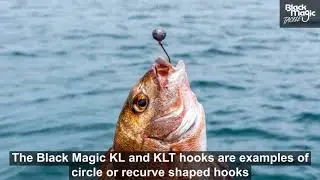 Black Magic hooks - choosing your fishing hook