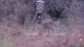 6.5 Grendel 123 gr sst @ 100 yards
