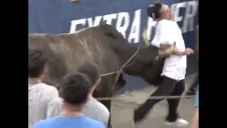 Barrio San José Oriental sigue de fiestas con las Vacas Culonas