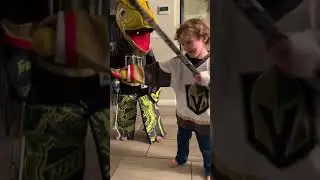 Hockey At Home, Go Knights Go