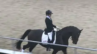 Sir Gribaldi von Secret-All Inclusive-Lauries Crusader xx