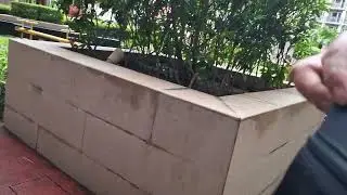 Ang lamig ng tubig sa Swimmy pool