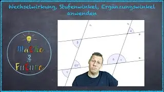 Wechselwinkel, Stufenwinkel, Ergänzungswinkel anwenden