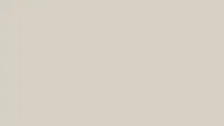 Fine Grain   Ambient Color Screen 10 Hours