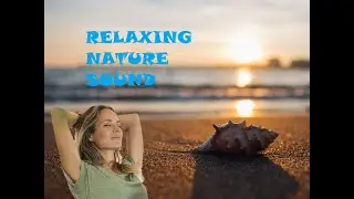 RELAXING MUSIC WITH NATURE SOUNDS FOR EMOTIONAL BALANCE (BEACH THEME) #01