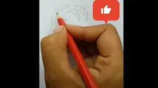 IBEX drawing