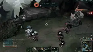 Warwick Animals