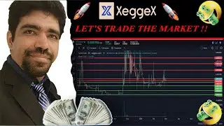 #29 | 🚨 Market Opportunities 🚨 | Xeggex | 💸💲TCC
