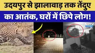 Udaipur से Jhalawar तक Leopard  का आतंक, दहशत में आए लोग! NDTV Rajasthan | Top News | Hindi News